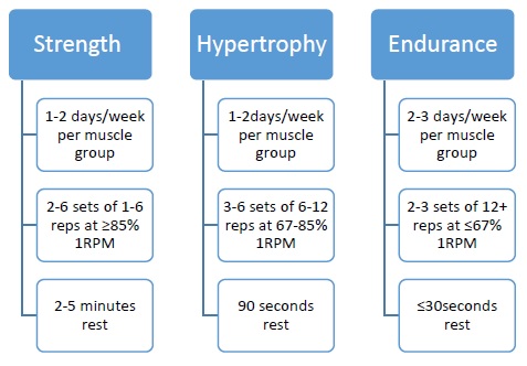 Guide to Sets, Reps, and Rest Time in Strength Training